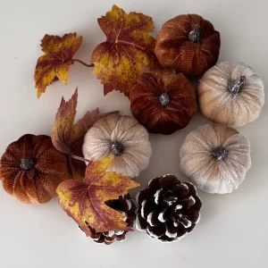 Herbst-Dekoset mit Samtkürbissen & Zapfen Boltze Home