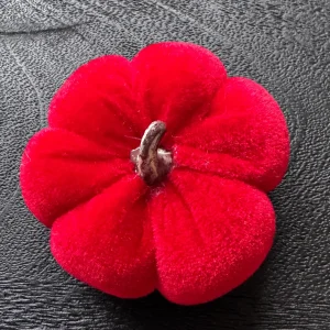 Samt Deko Kürbis in Dunkel Rot 8 cm