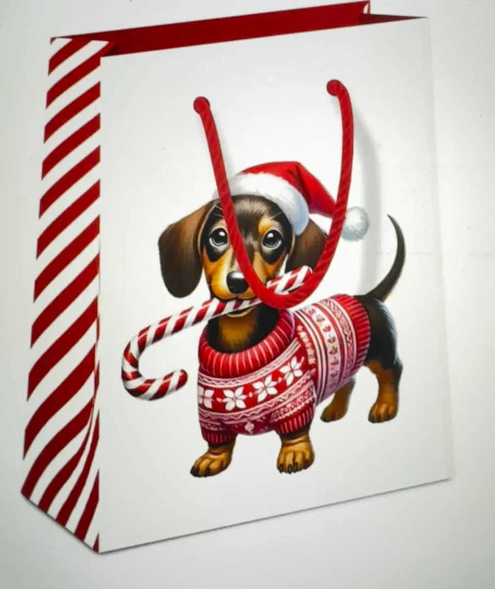 Ambiente Geschenktüte  „Anton“  Dackelmotiv 22,5 x 17 x 9 cm